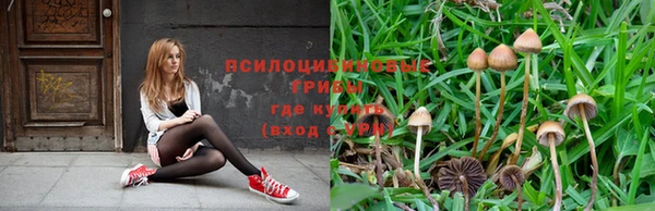 spice Балабаново