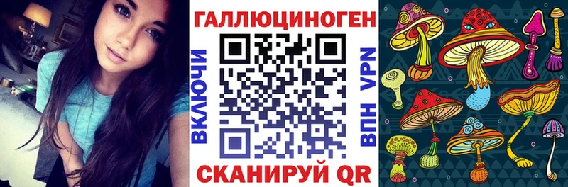 Псилоцибиновые грибы мухоморы  где можно купить наркотик  Петров Вал 